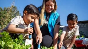 Sazenice mrkve, zelí, batátů a fazolí obohacených železem pro potravinovou soběstačnost, zadržení vody a půdy.