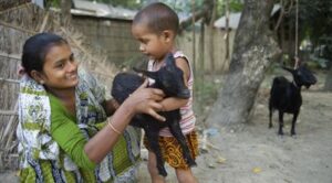 Pár koz – kozy nebo jiná domácí zvířata dodává UNICEF sirotkům a nejchudším rodinám v komunitě.