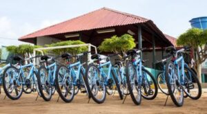 Zajistí jízdní kolo pro velké zatížení, které používají zdravotníci pro dopravu do odlehlých oblastí.